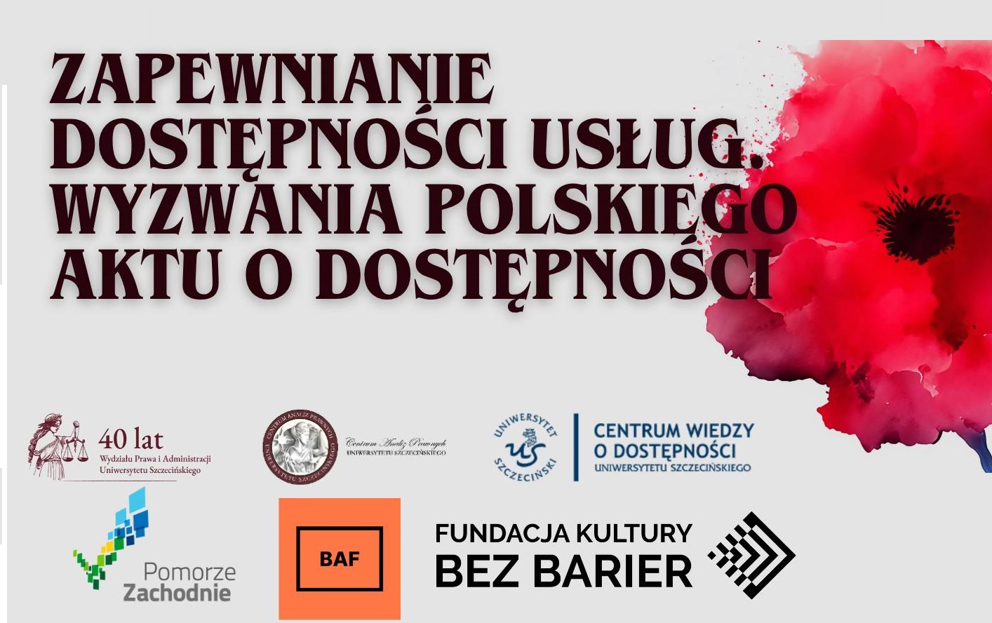 Zapewnianie dostępności usług. Wyzwania Polskiego Aktu o Dostępności