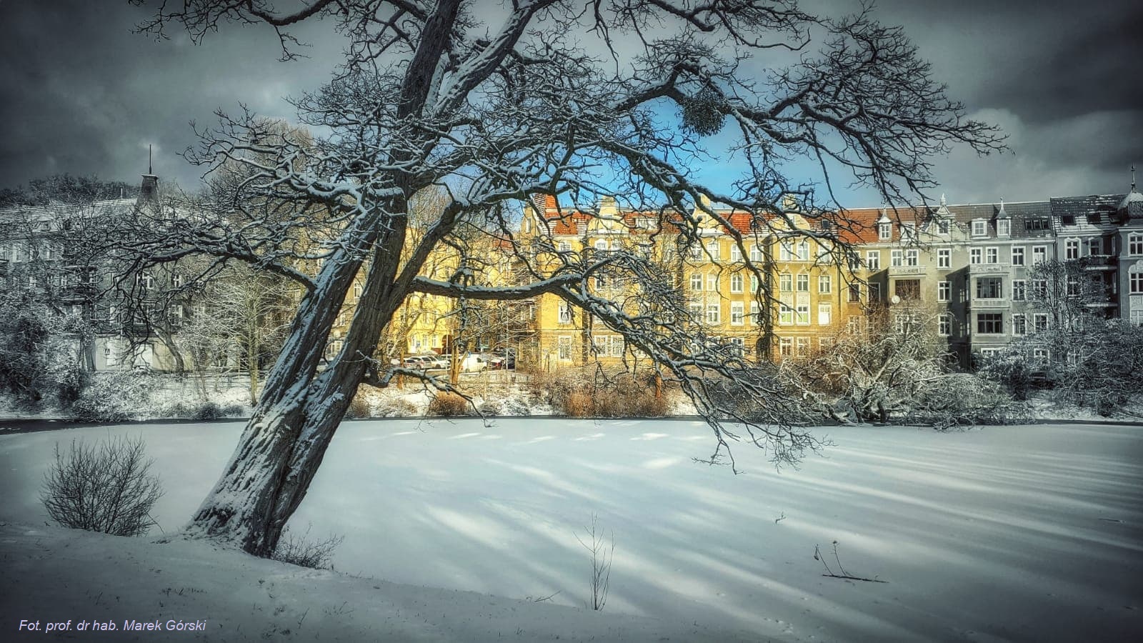 Szczecin w zimowej aurze – zdjęcia autorstwa Profesora M. Górskiego